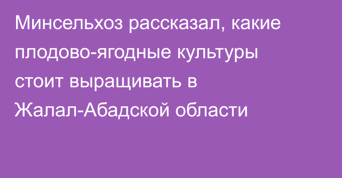 Минсельхоз рассказал, какие плодово-ягодные культуры стоит выращивать в Жалал-Абадской области