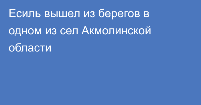 Есиль вышел из берегов в одном из сел Акмолинской области