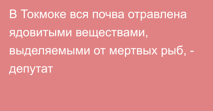 В Токмоке вся почва отравлена ядовитыми веществами, выделяемыми от мертвых рыб, - депутат