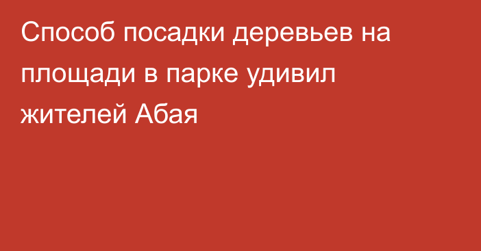 Способ посадки деревьев на площади в парке удивил жителей Абая