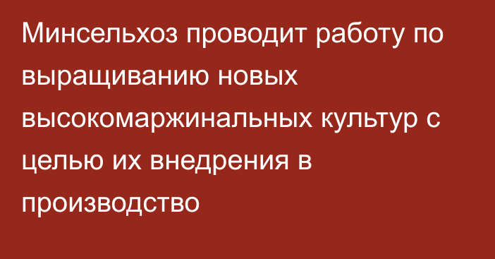 Минсельхоз проводит работу по выращиванию новых высокомаржинальных культур с целью их внедрения в производство