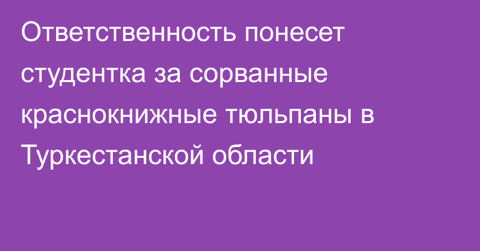 Ответственность понесет студентка за сорванные краснокнижные тюльпаны в Туркестанской области