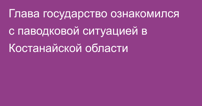 Глава государство ознакомился с паводковой ситуацией в Костанайской области