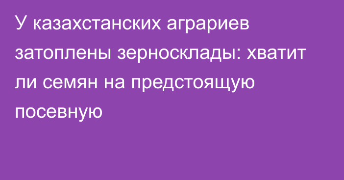 У казахстанских аграриев затоплены зерносклады: хватит ли семян на предстоящую посевную