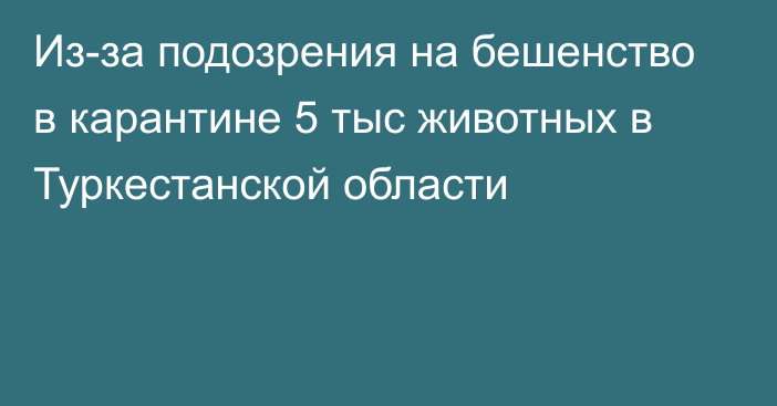 Из-за подозрения на бешенство в карантине 5 тыс животных в Туркестанской области