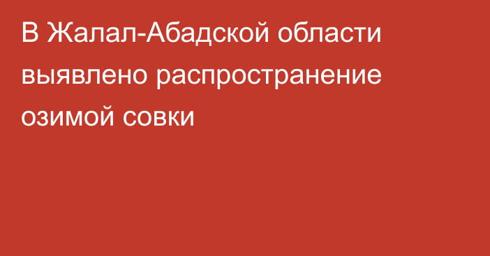 В Жалал-Абадской области выявлено распространение озимой совки