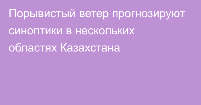 Порывистый ветер прогнозируют синоптики в нескольких областях Казахстана