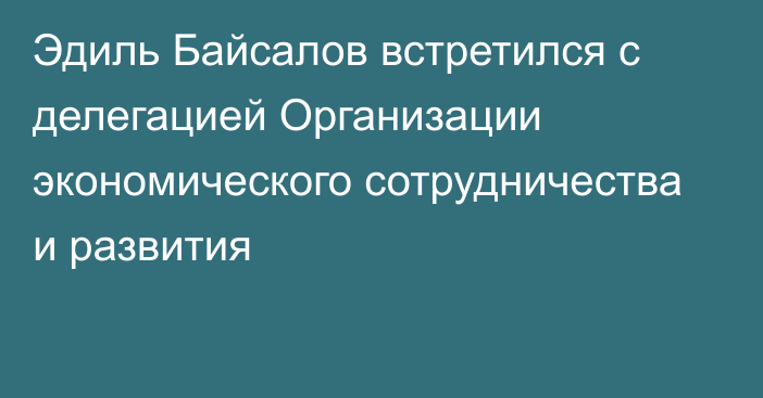 Эдиль Байсалов встретился с делегацией Организации экономического сотрудничества и развития