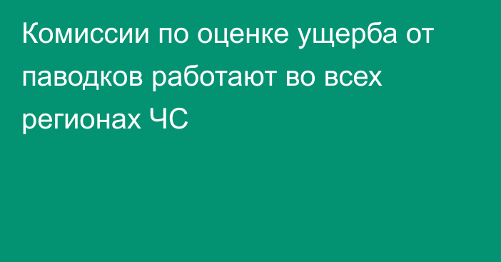 Комиссии по оценке ущерба от паводков работают во всех регионах ЧС