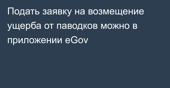 Подать заявку на возмещение ущерба от паводков можно в приложении eGov