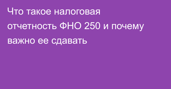 Что такое налоговая отчетность ФНО 250 и почему важно ее сдавать