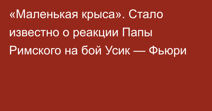 «Маленькая крыса». Стало известно о реакции Папы Римского на бой Усик — Фьюри