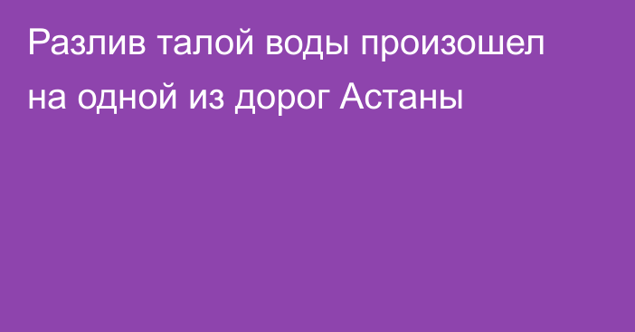 Разлив талой воды произошел на одной из дорог Астаны