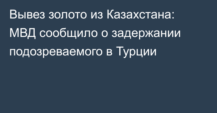 Вывез золото из Казахстана: МВД сообщило о задержании подозреваемого в Турции