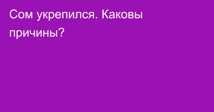 Сом укрепился. Каковы причины?