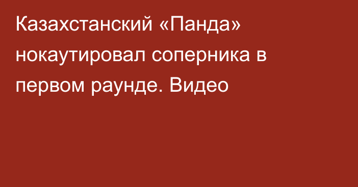 Казахстанский «Панда» нокаутировал соперника в первом раунде. Видео