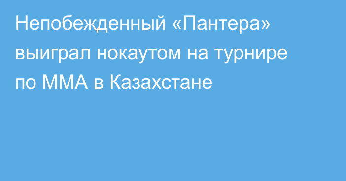 Непобежденный «Пантера» выиграл нокаутом на турнире по ММА в Казахстане