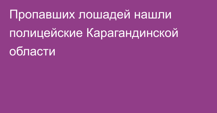 Пропавших лошадей нашли полицейские Карагандинской области