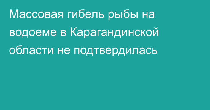 Массовая гибель рыбы на водоеме в Карагандинской области не подтвердилась