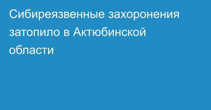 Сибиреязвенные захоронения затопило в Актюбинской области