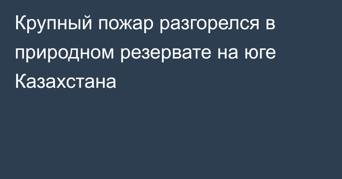 Крупный пожар разгорелся в природном резервате на юге Казахстана