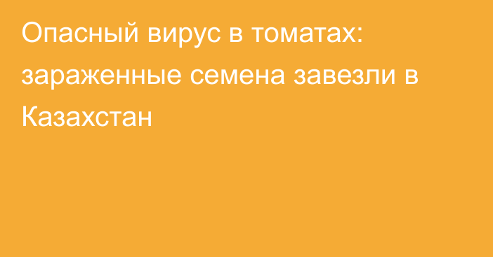 Опасный вирус в томатах: зараженные семена завезли в Казахстан