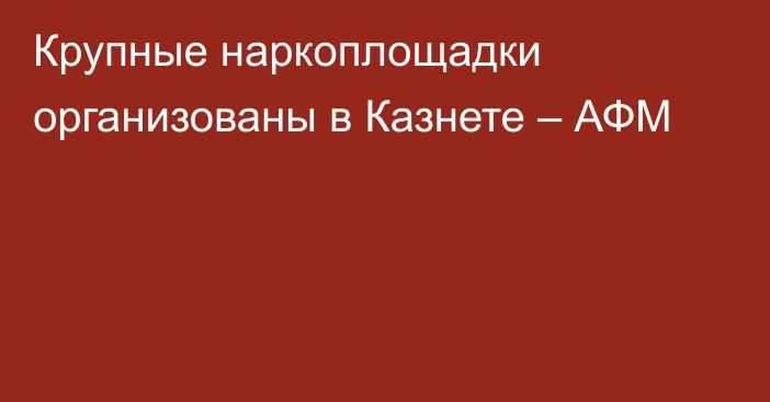 Крупные наркоплощадки организованы в Казнете – АФМ