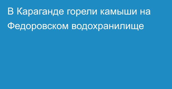 В Караганде горели камыши на Федоровском водохранилище