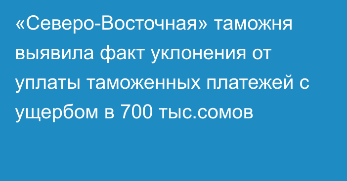 «Северо-Восточная» таможня выявила факт уклонения от уплаты таможенных платежей с ущербом в 700 тыс.сомов