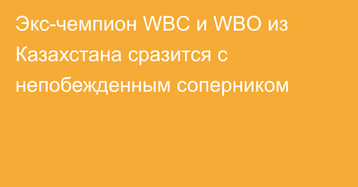 Экс-чемпион WBC и WBO из Казахстана сразится с непобежденным соперником