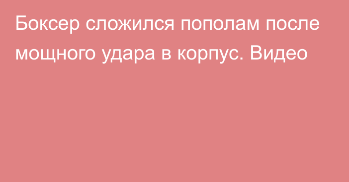 Боксер сложился пополам после мощного удара в корпус. Видео