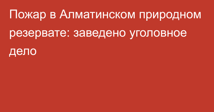 Пожар в Алматинском природном резервате: заведено уголовное дело