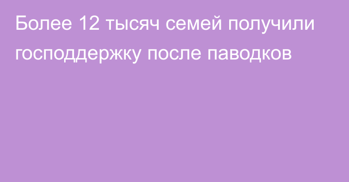 Более 12 тысяч семей получили господдержку после паводков