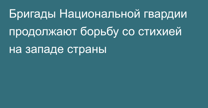 Бригады Национальной гвардии продолжают борьбу со стихией на западе страны