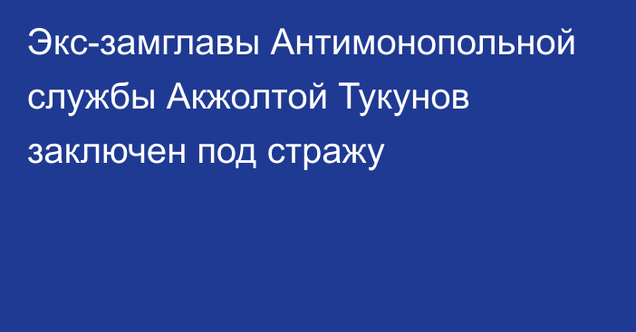 Экс-замглавы Антимонопольной службы Акжолтой Тукунов заключен под стражу