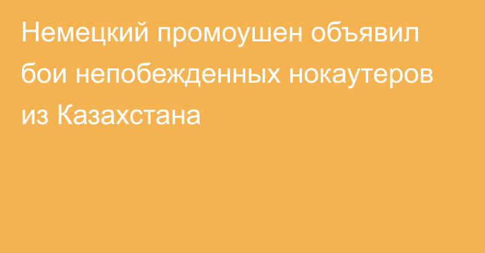 Немецкий промоушен объявил бои непобежденных нокаутеров из Казахстана