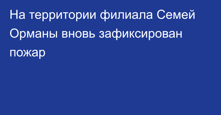 На территории филиала Семей Орманы вновь зафиксирован пожар