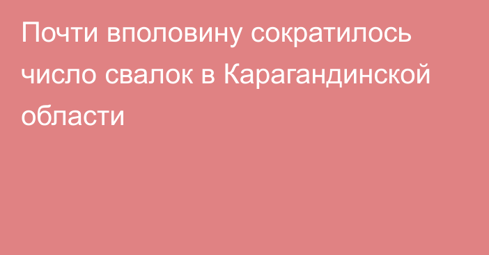 Почти вполовину сократилось число свалок в Карагандинской области