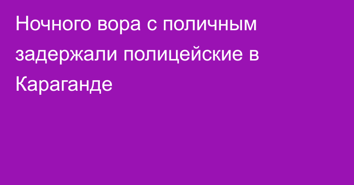 Ночного вора с поличным задержали полицейские в Караганде