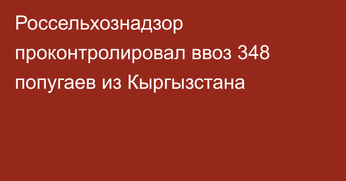 Россельхознадзор проконтролировал ввоз 348 попугаев из Кыргызстана