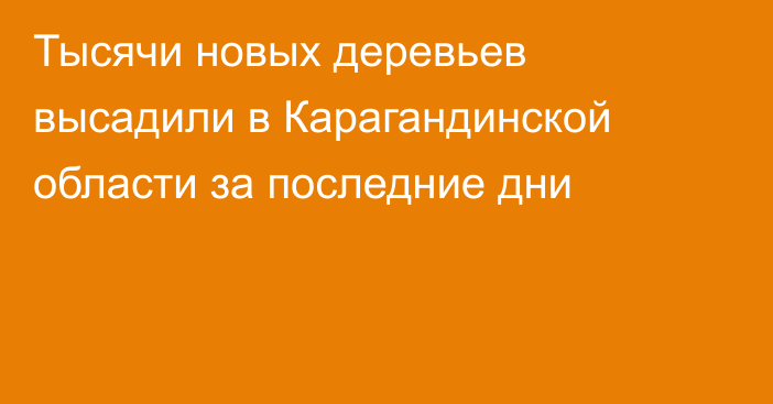 Тысячи новых деревьев высадили в Карагандинской области за последние дни