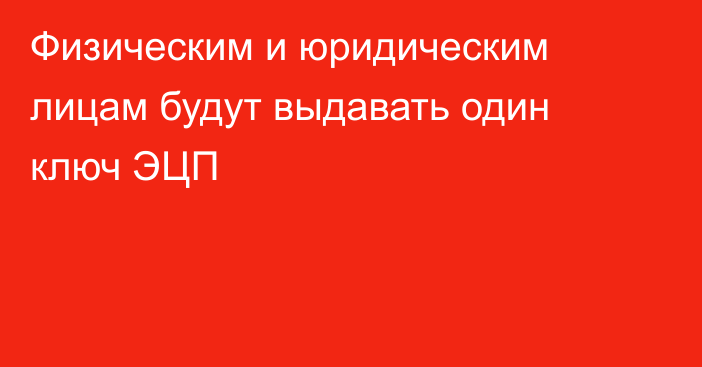 Физическим и юридическим лицам будут выдавать один ключ ЭЦП