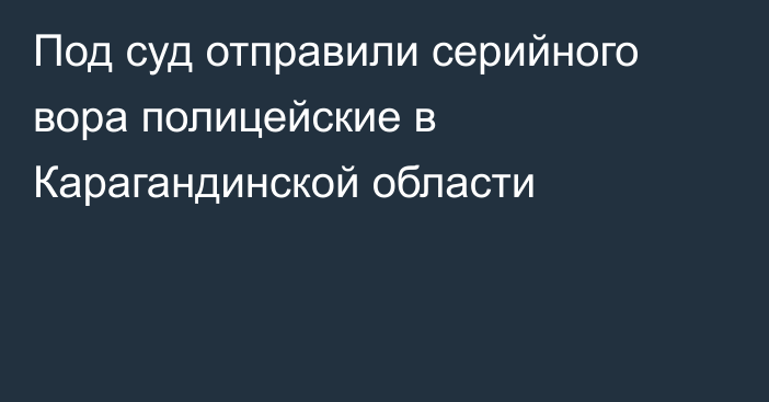 Под суд отправили серийного вора полицейские в Карагандинской области