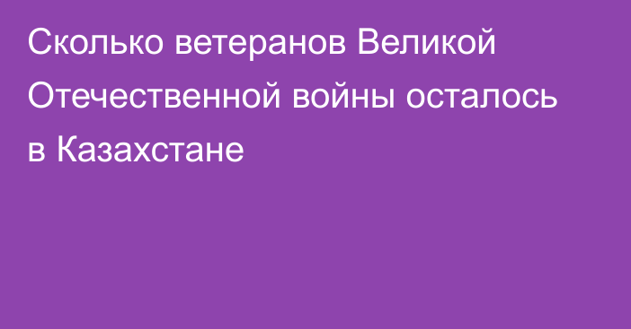 Сколько ветеранов Великой Отечественной войны осталось в Казахстане