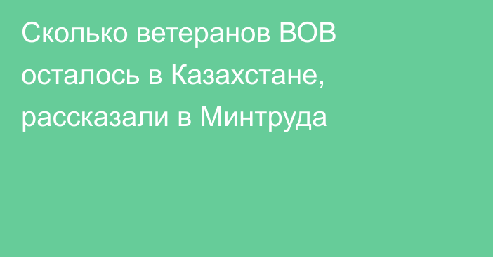 Сколько ветеранов ВОВ осталось в Казахстане, рассказали в Минтруда