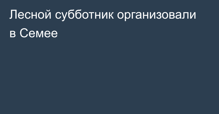 Лесной субботник организовали в Семее