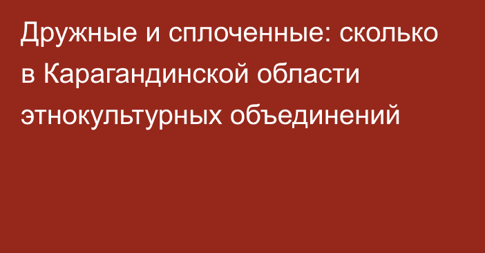 Дружные и сплоченные: сколько в Карагандинской области этнокультурных объединений