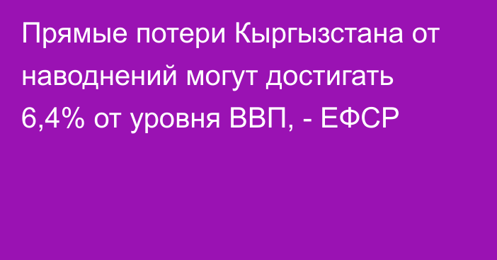 Прямые потери Кыргызстана от наводнений могут достигать 6,4% от уровня ВВП, - ЕФСР