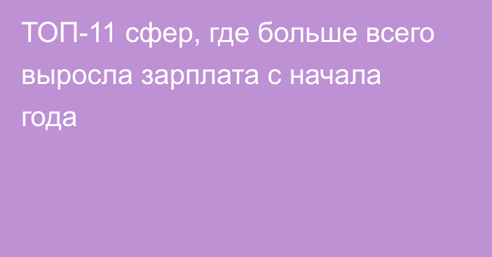 ТОП-11 сфер, где больше всего выросла зарплата с начала года