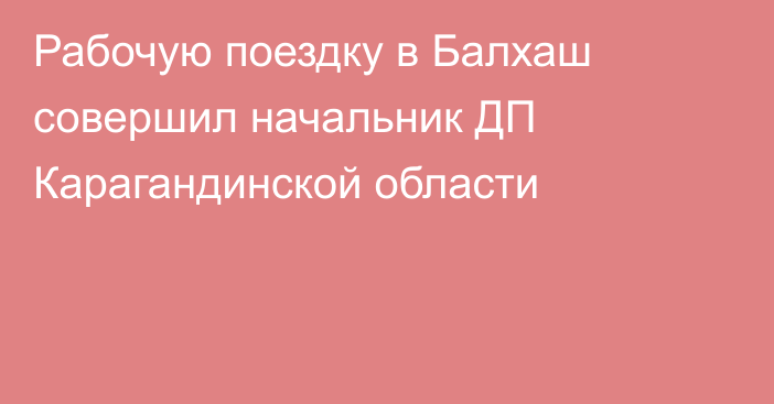 Рабочую поездку в Балхаш совершил начальник ДП Карагандинской области